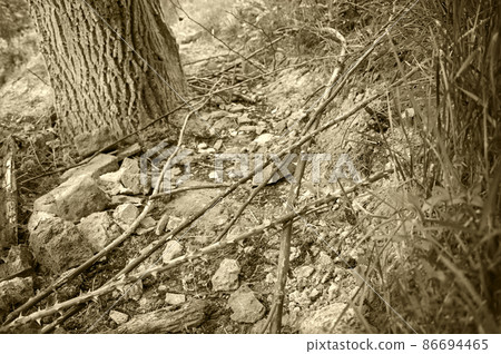 Difficult rocky and thorny path Difficult rocky and thorny path 86694465