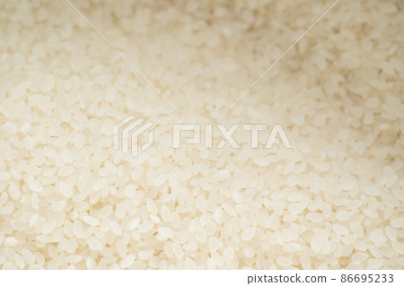 米飯咬 米飯咬 86695233