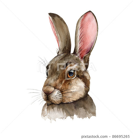 Cute bunny portrait. Watercolor illustration. Hand drawn nice rabbit. Symbol 2023 year. Funny bunny head. Beautiful rabbit animal. Adorable hare on white background 86695265