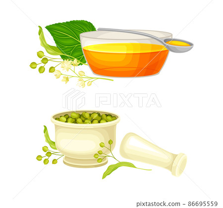Linden or Tilia Cordata Honey in Bowl and Buds in Mortar Vector Set Linden or Tilia Cordata Honey in Bowl and Buds in Mortar Vector Set 86695559