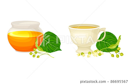 Linden or Tilia Cordata Honey in Jar and Brewing Tea in Cup with Blossom Nearby Vector Set Linden or Tilia Cordata Honey in Jar and Brewing Tea in Cup with Blossom Nearby Vector Set 86695567