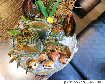 Freshly caught Boston Lobster 86695909