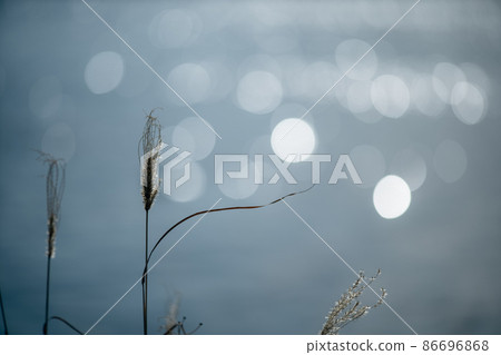 Winter waterside landscape withered grass and light Winter waterside landscape withered grass and light 86696868