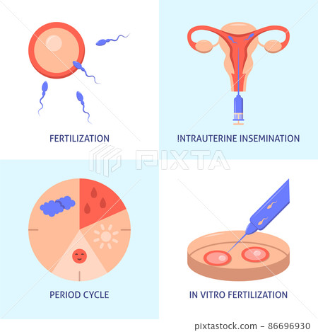 Natural and artificial fertilization icon set 86696930