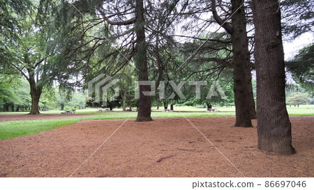 日本公園景觀 86697046