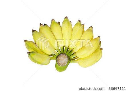 Fresh Cultivated banana, Sugar banana, Pisang Awak, Ripe bananas isolated on white background. Fresh Cultivated banana, Sugar banana, Pisang Awak, Ripe bananas isolated on white background. 86697111