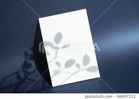 Card mock-up with plant shadows on a shiny navy background Card mock-up with plant shadows on a shiny navy background 86697151