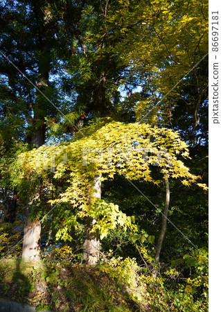 Reishoji is a Soto sect temple located in Omachi City, Nagano Prefecture, at the foot of the Northern Alps. 86697181