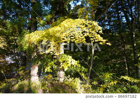 Reishoji是位於北阿爾卑斯山腳下的長野縣大町市的曹洞宗寺廟。 86697182