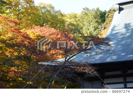 Reishoji是位於北阿爾卑斯山腳下的長野縣大町市的曹洞宗寺廟。 86697274