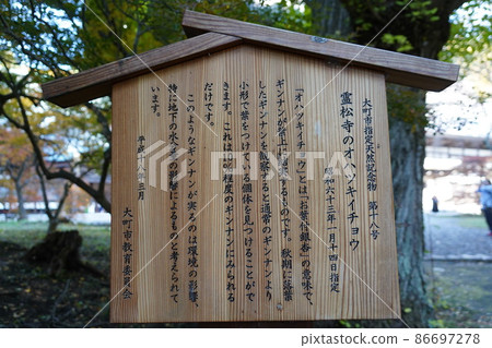 Reishoji is a Soto sect temple located in Omachi City, Nagano Prefecture, at the foot of the Northern Alps. 86697278