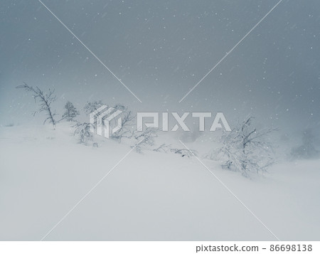 Poor visibility, blizzard, heavy snowstorm in the polar forest. Fabulous winter spruce forest in a blizzard. The snow-covered trees are barely visible through the snow shroud. Harsh Arctic nature. Poor visibility, blizzard, heavy snowstorm in the polar forest. Fabulous winter spruce forest in a blizzard. The snow-covered trees are barely visible through the snow shroud. Harsh Arctic nature. 86698138