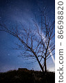 Night Saga star flower starry sky view 86698820