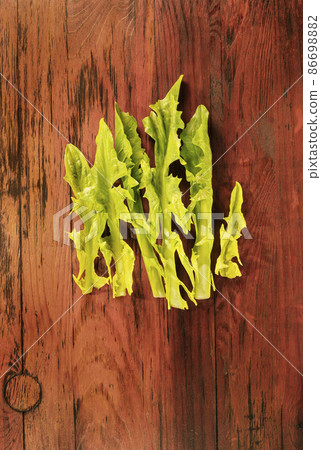 Green leaves of chicory 86698882