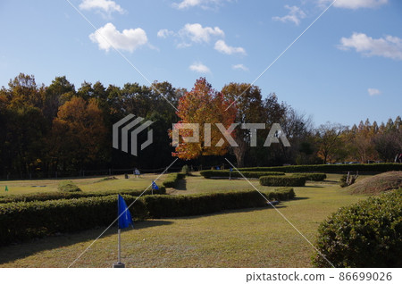 滋賀縣牧野pickland秋天的風景 86699026