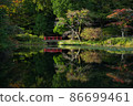Mirror surface pond 86699461