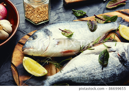 Fresh raw dorado fish. Fresh raw dorado fish. 86699655
