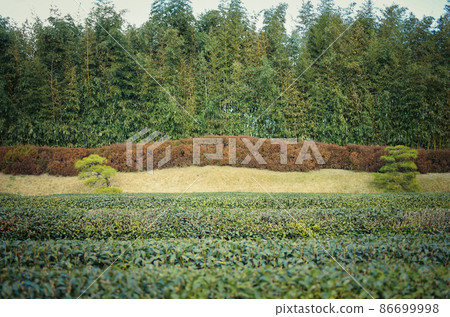 Korakuen Tea Garden in Okayama City, Okayama Prefecture 86699998