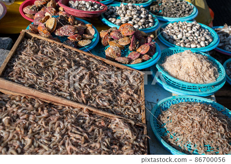 Jagalchi Market, Busan Metropolitan City, Republic of Korea 86700056