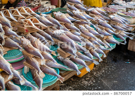 韓國釜山廣域市札嘎其市場 韓國釜山廣域市札嘎其市場 86700057