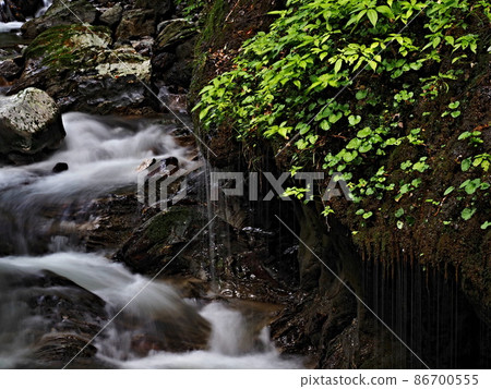 Scenery of Kanba Falls Scenery of Kanba Falls 86700555