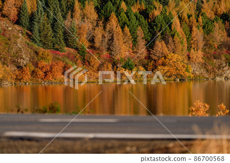 Autumn near the lake with blurred road in the foreground 86700568