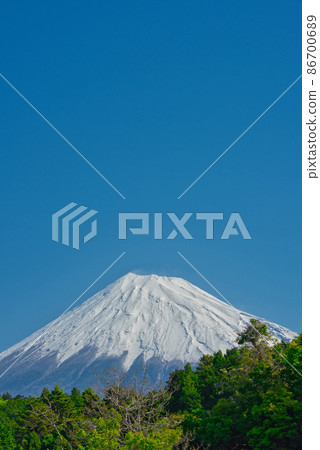 [Shizuoka Prefecture] May ・ Mt. Fuji in the blue sky where you can fully enjoy nature 86700689