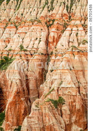 Red clays with dinosaur fossils. Geological reserve Red clays with dinosaur fossils. Geological reserve 86701486