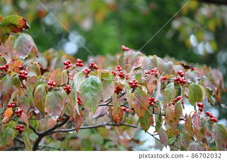 Gifts from the United States Gifts from the United States 86702032