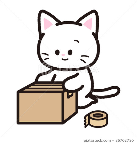 打包的白貓 86702750
