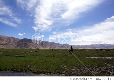Raised bog in Tashkurgan, Xinjiang Uygur Autonomous Region 86702915