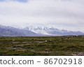 Animals swarming in the wetlands of Tashkurgan, Xinjiang Uygur Autonomous Region 86702918