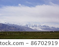 Animals swarming in the wetlands of Tashkurgan, Xinjiang Uygur Autonomous Region 86702919