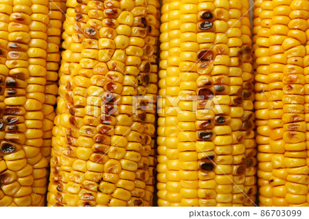 Tasty grilled corn on whole background, close up Tasty grilled corn on whole background, close up 86703099