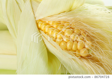 Fresh raw corn, close up and selective focus Fresh raw corn, close up and selective focus 86704728
