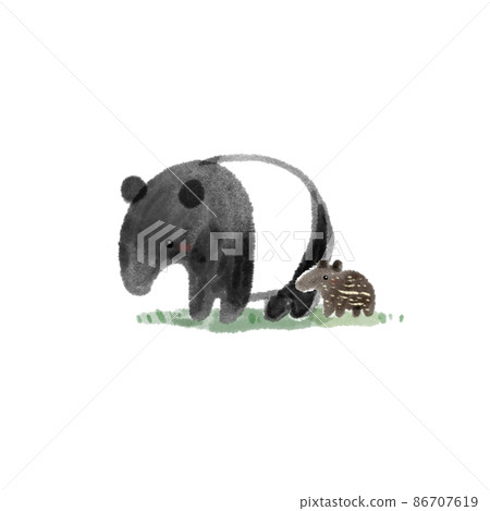 馬來貘父母和孩子 馬來貘父母和孩子 86707619