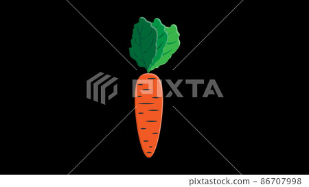 carrots on a black background, vector illustration. bright, orange, long carrots with a lush green tail, vegetable crop, vegan food. raw food 86707998