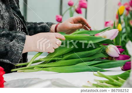 Woman florist makes bouquet of fresh tulips. Hands hold spring flowers. Small business for gardeners, flower shop. Woman florist makes bouquet of fresh tulips. Hands hold spring flowers. Small business for gardeners, flower shop. 86708252