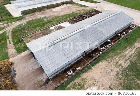 Agricultural Buildings with farm animals. Agricultural Buildings with farm animals. 86710163
