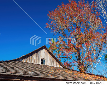 Beautiful log cabin along the Texas Native Trail 86710216