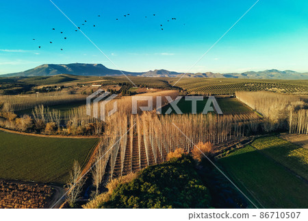 Aerial agricultural fields, cultivated lands of Granada 86710507