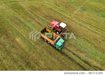Forage harvester durind grass cutting for silage in field.  86711289