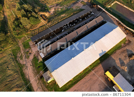 Agricultural Buildings with farm animals. Agricultural Buildings with farm animals. 86711304