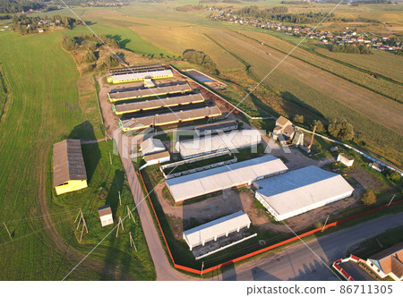 Agricultural Buildings with farm animals. Agricultural Buildings with farm animals. 86711305