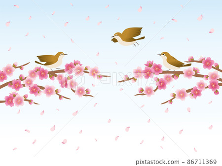 Sakura_Hanafubuki_Uguisu_Background Sakura_Hanafubuki_Uguisu_Background 86711369