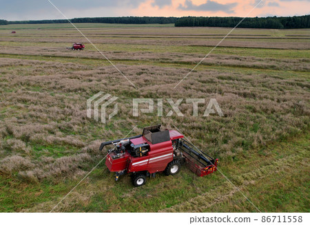 Combine harvester working in rapeseed field. Combine harvester working in rapeseed field. 86711558