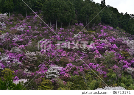 Mitsubatsuji in the back mountain of Saimei-ji Temple Mitsubatsuji in the back mountain of Saimei-ji Temple 86713171