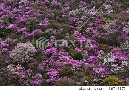西明寺後山的三津寺 西明寺後山的三津寺 86713172