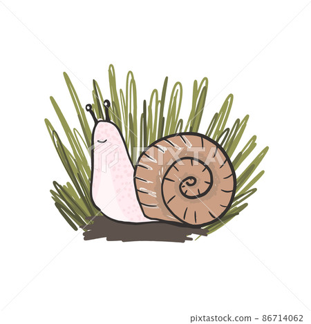 Cute hand drawn brown snail in grass 86714062