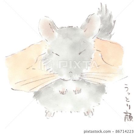 龍貓觀察：一張迷人的臉的水彩插圖，撫摸著下巴 86714223